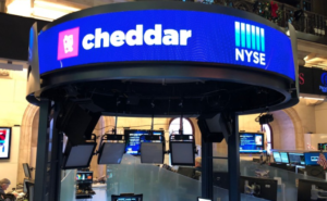 Cheddar