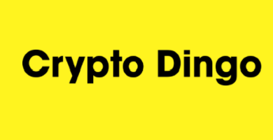 dingo crypto